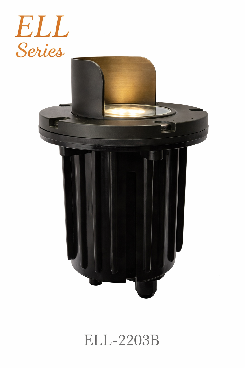 ELL-2203B Forward Shielded In-Ground Well Light