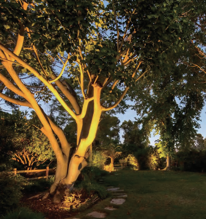 ELL-2100 Solid Brass Directional Uplight – Antique Finish